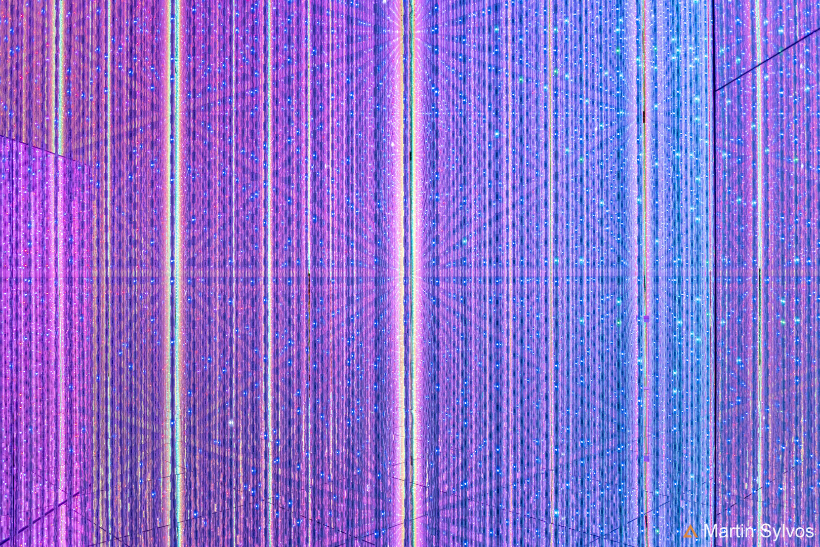 2025 Japon martin sylvos 51